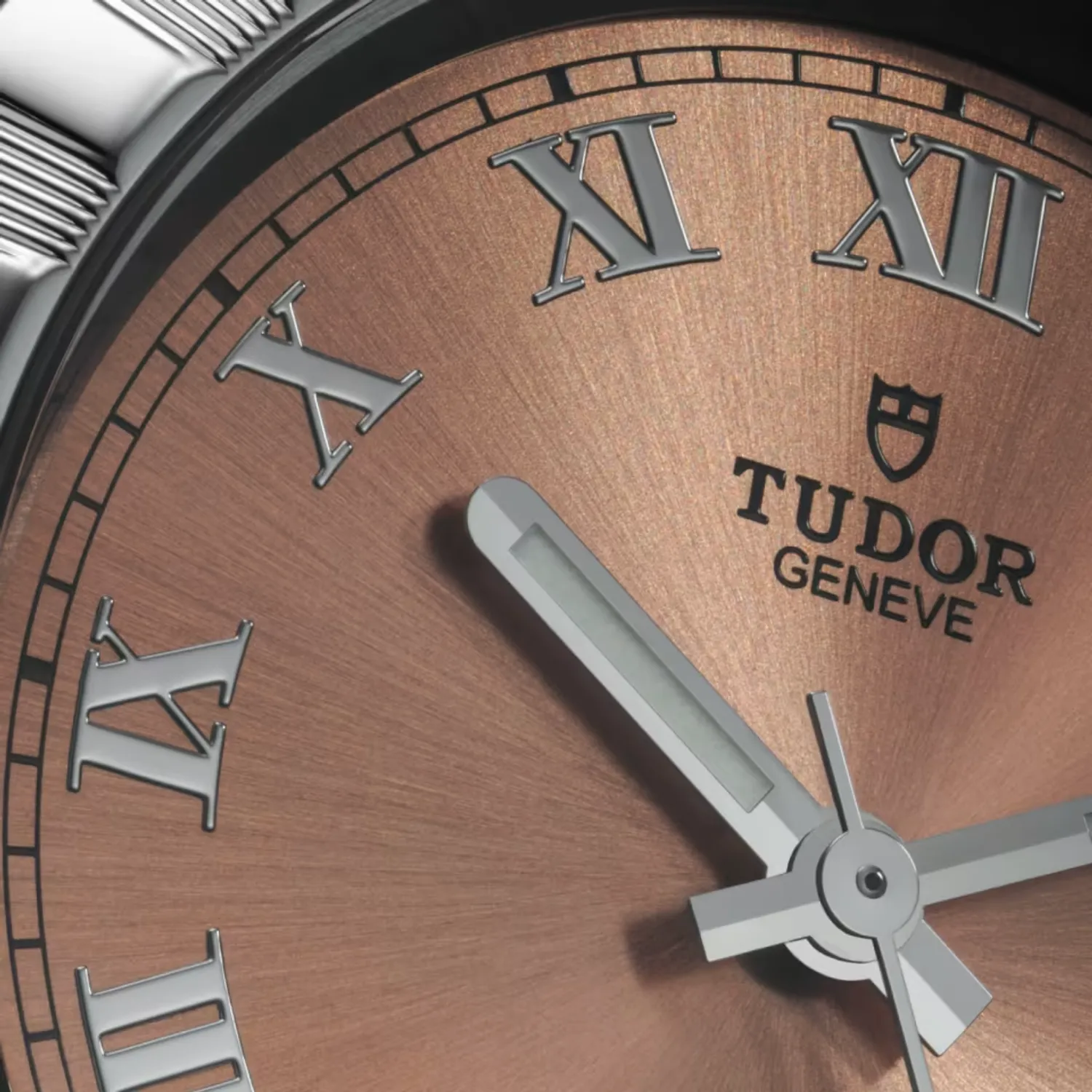 Montre Tudor Royal