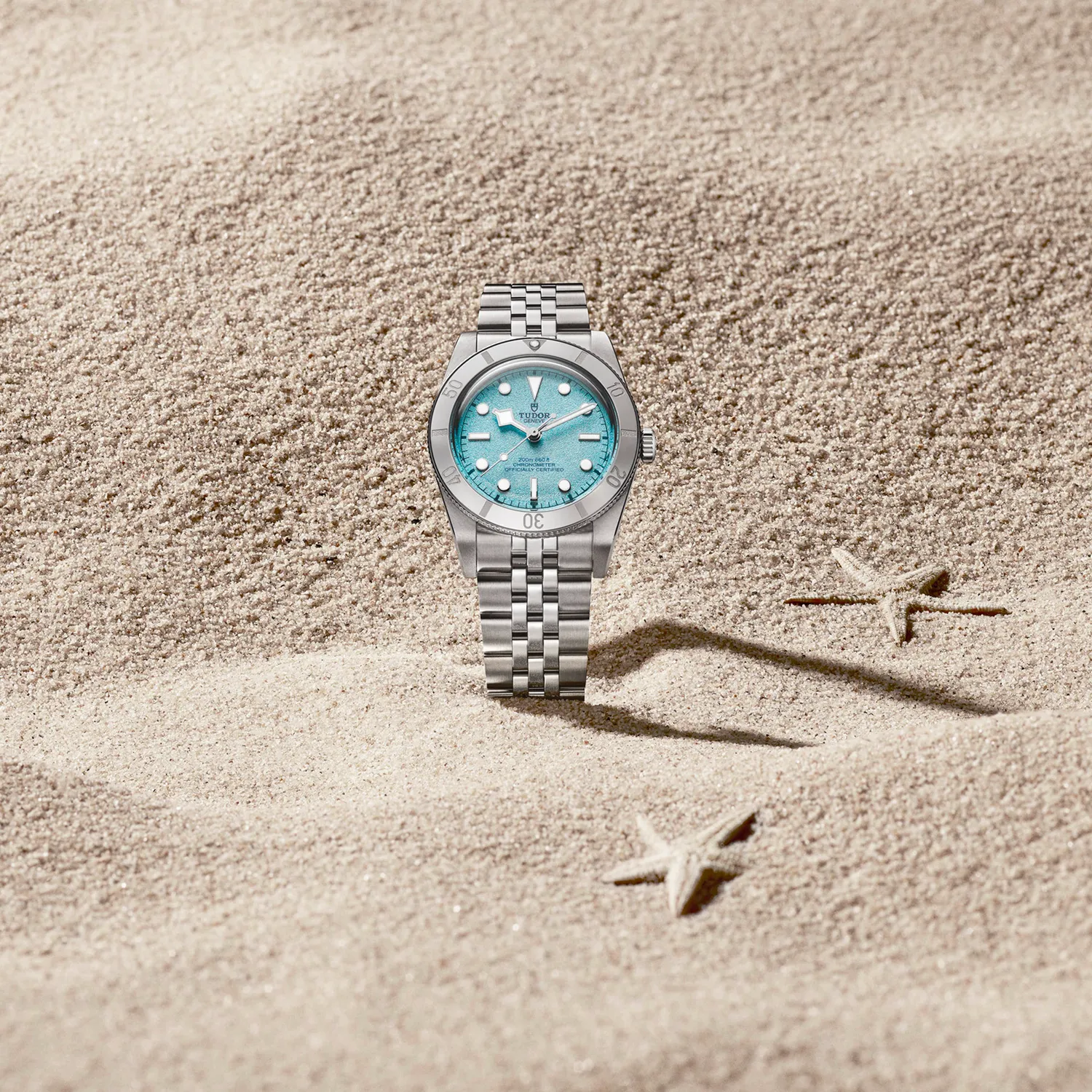 Montre Tudor Black Bay 54