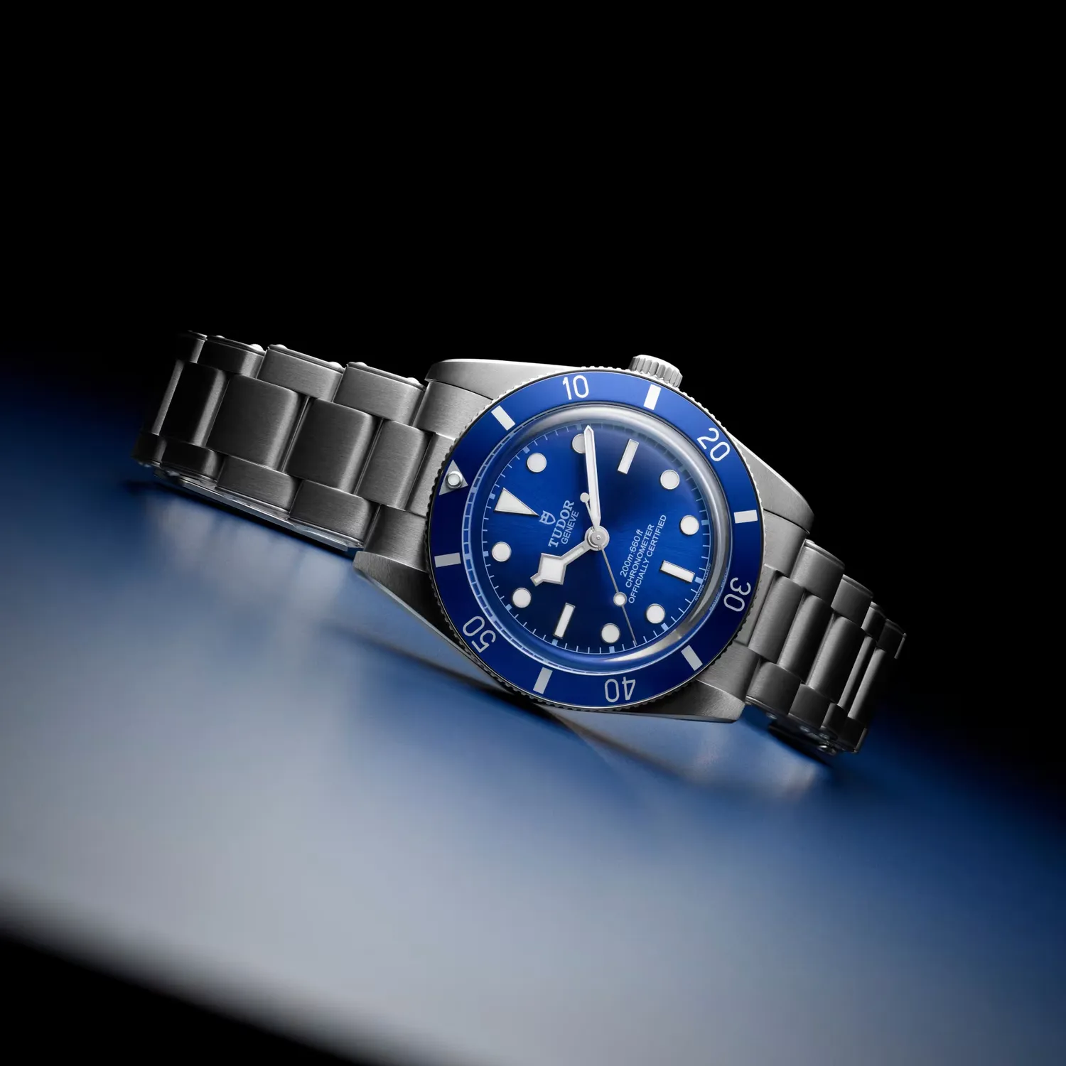 Montre Tudor Black Bay 54