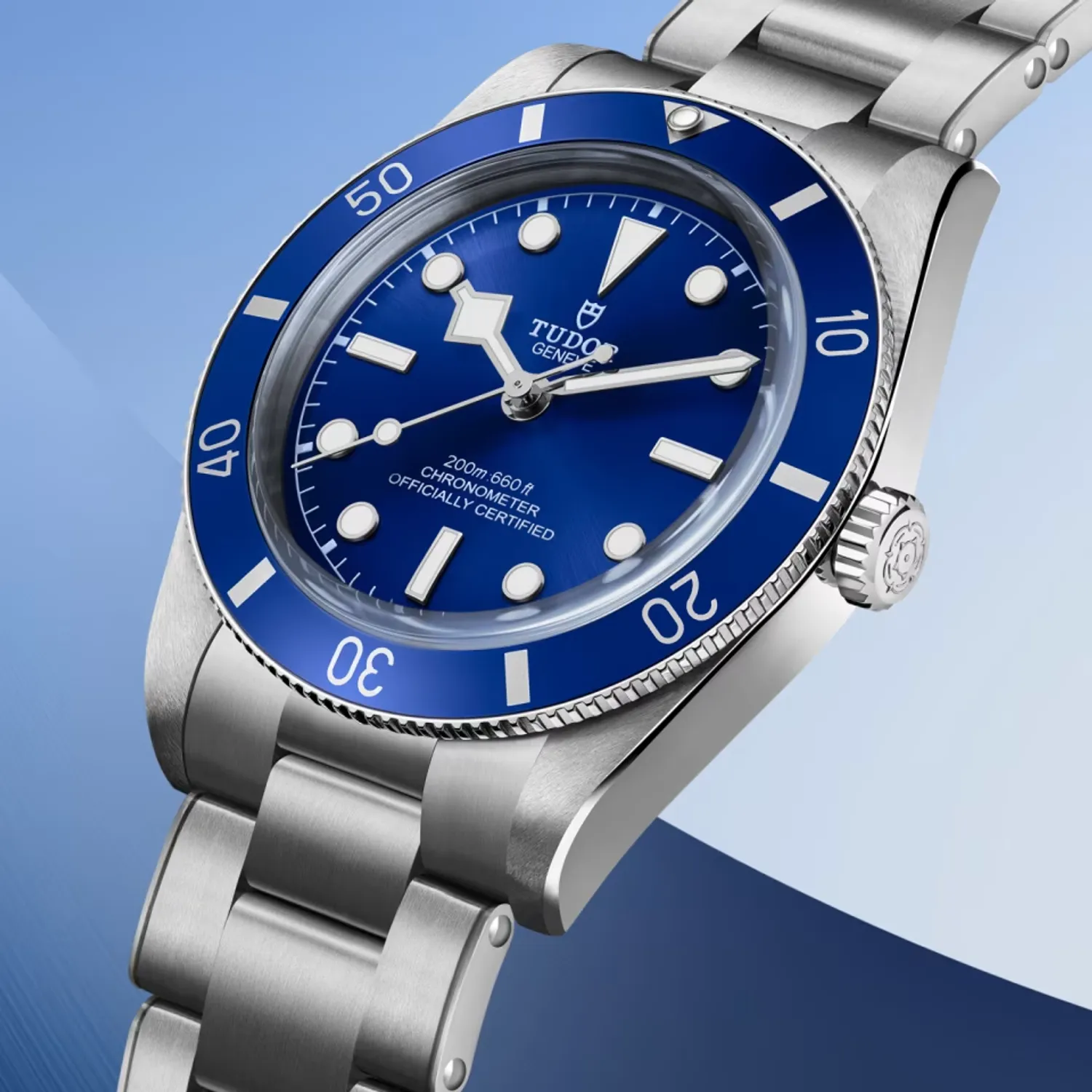 Montre Tudor Black Bay 54