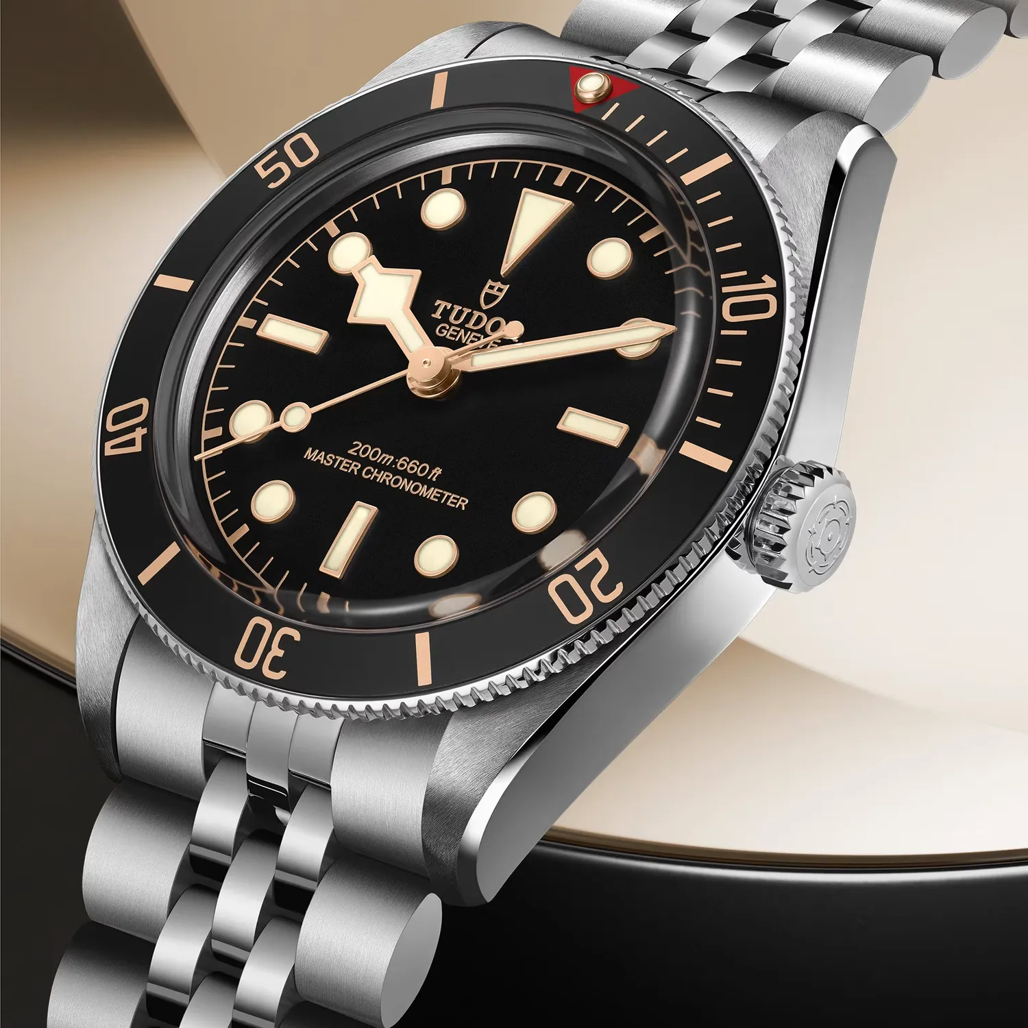 Montre Tudor Black Bay 58