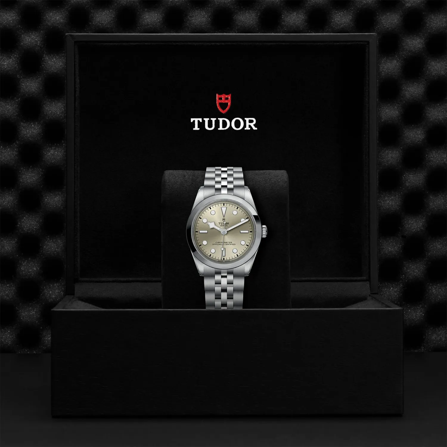 Montre Tudor Black Bay One 36