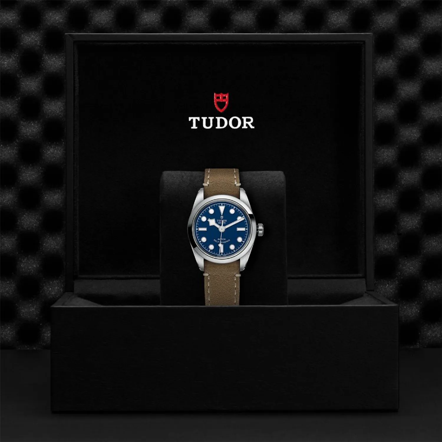 Montre Tudor Black Bay One 32