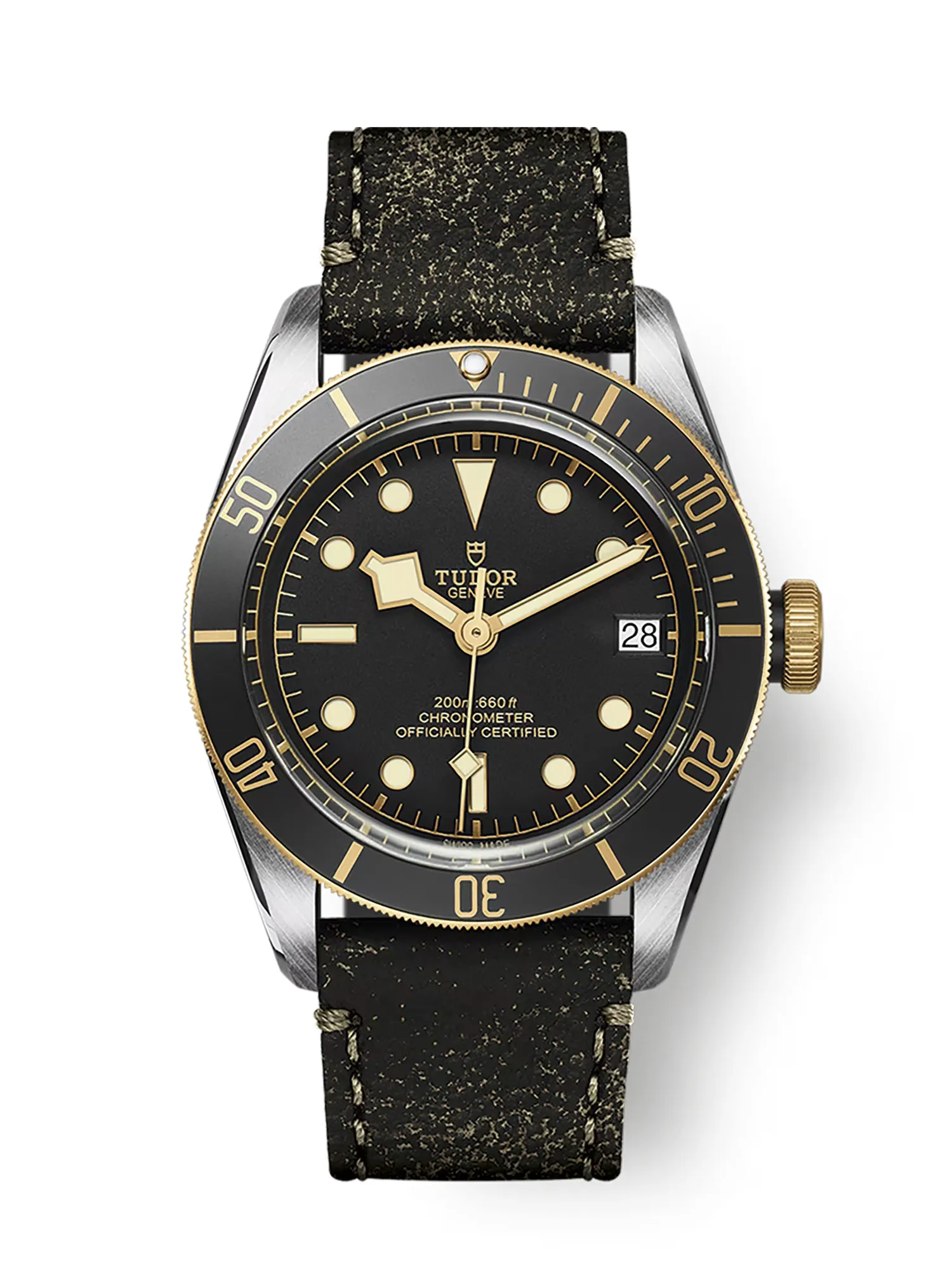Montre Tudor Black Bay S&G