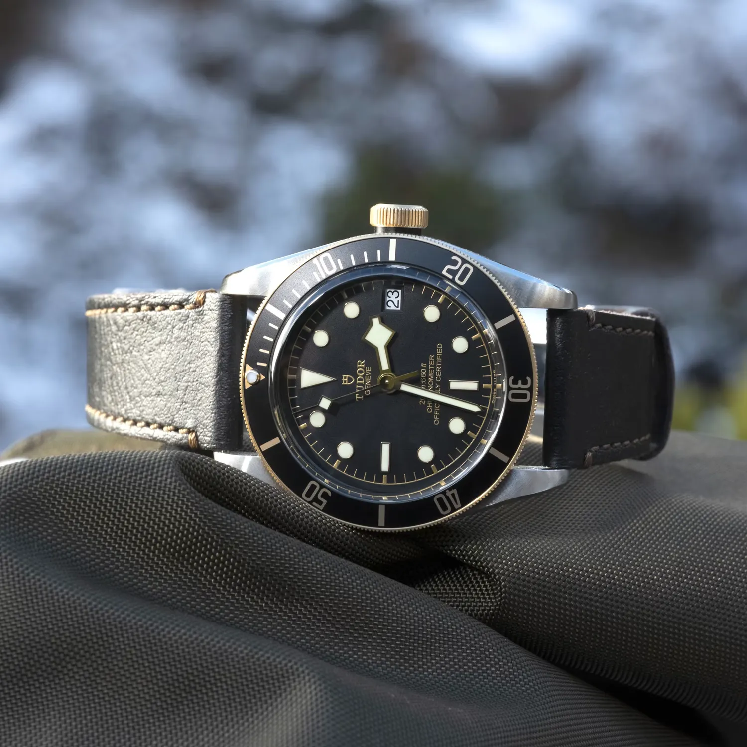 Montre Tudor Black Bay S&G