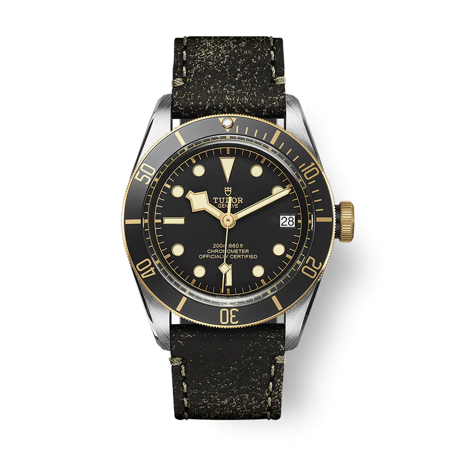 Montre Tudor Black Bay S&G