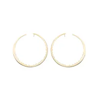 Boucles d'oreilles Akillis Capture Light