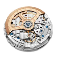 Montre MASTER CONTROL Calendar Bracelets acier et cuir marron clair interchangeables, Cadran argenté soleillé