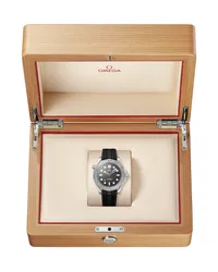 Montre Omega Diver 300M Co-Axial Master Chronometer
