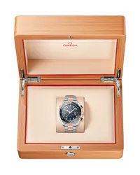 Montre Omega Seamaster Planet Ocean 6000M