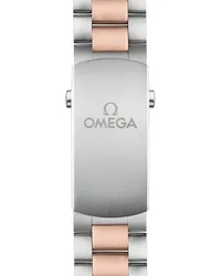 Montre Omega Seamaster Planet Ocean 6000M