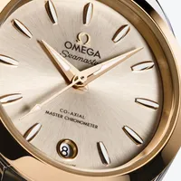 Montre Omega Seamaster Aqua Terra 150M