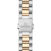 Montre Omega Seamaster Aqua Terra 150M