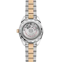 Montre Omega Seamaster Aqua Terra 150M