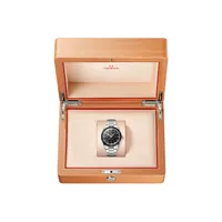 Montre Omega Seamaster 300 Co-Axial Master Chronometer