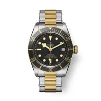 Montre Tudor Black Bay S&G