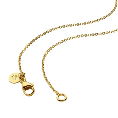 Chaine Forçat Rond Arthus Bertrand, 40 cm, en or jaune