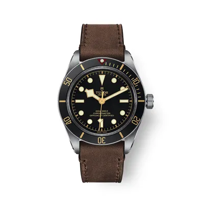 Montre Tudor Black Bay 58