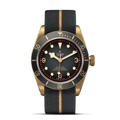 Montre Tudor Black Bay Bronze