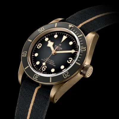 Montre Tudor Black Bay Bronze