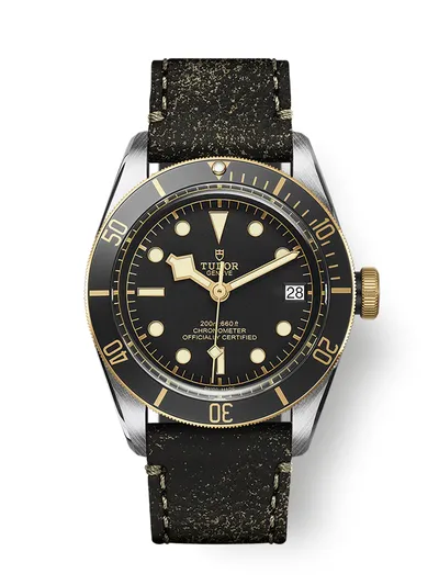 Montre Tudor Black Bay S&G