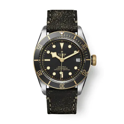 Montre Tudor Black Bay S&G