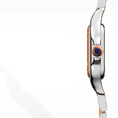 Montre Panthère de Cartier Petit Modèle