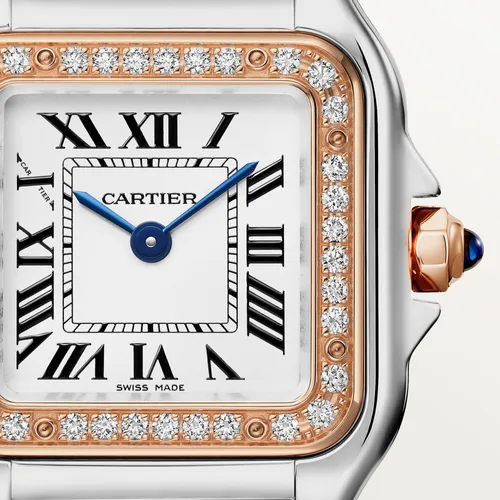 Montre Panthère de Cartier Petit Modèle