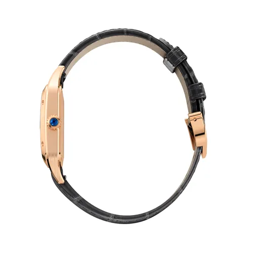 Montre Cartier Santos-Dumont Petit Modèle
