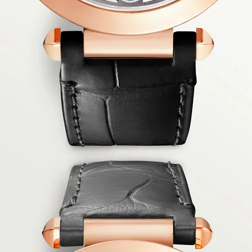 Montre Pasha de Cartier Squelette