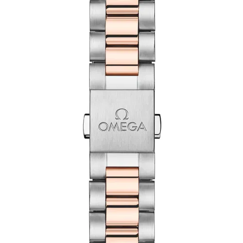 Montre Omega Seamaster Aqua Terra 150M