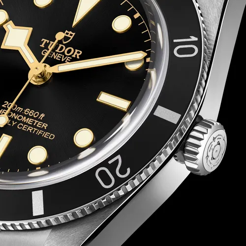 Montre Tudor Black Bay 54