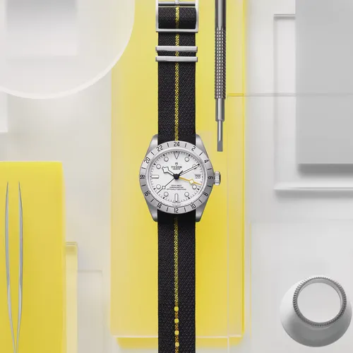 Montre Tudor Black Bay Pro