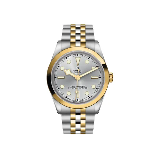 Montre Tudor Black Bay One 36 S&G