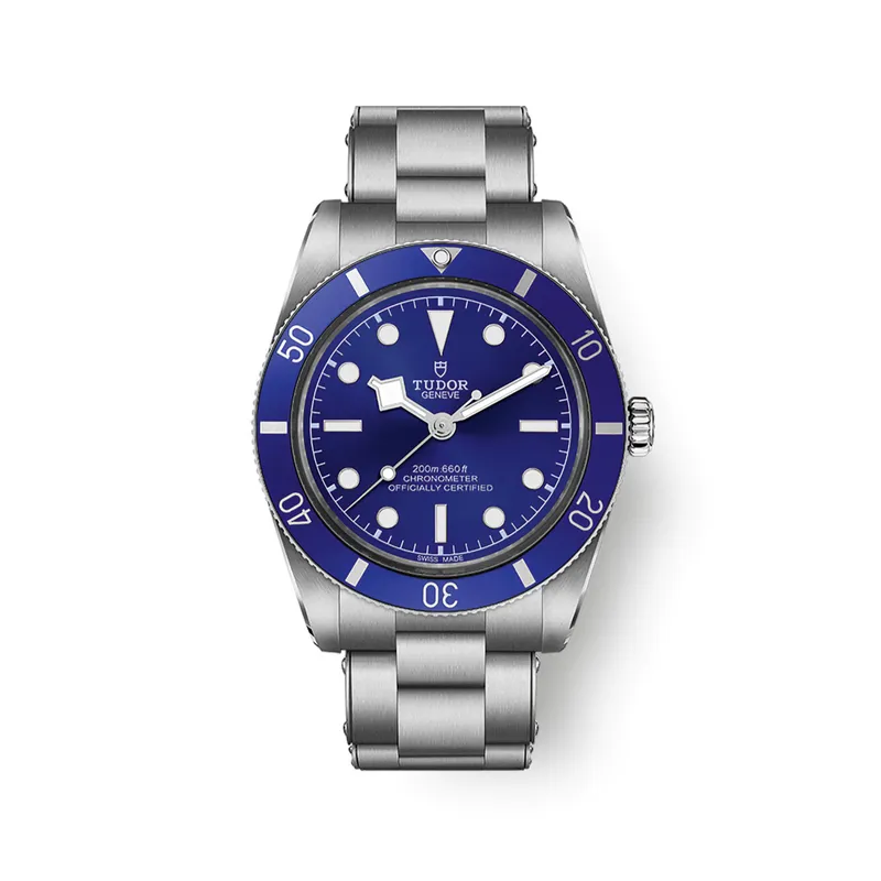 Montre Tudor Black Bay 54 - TUDOR