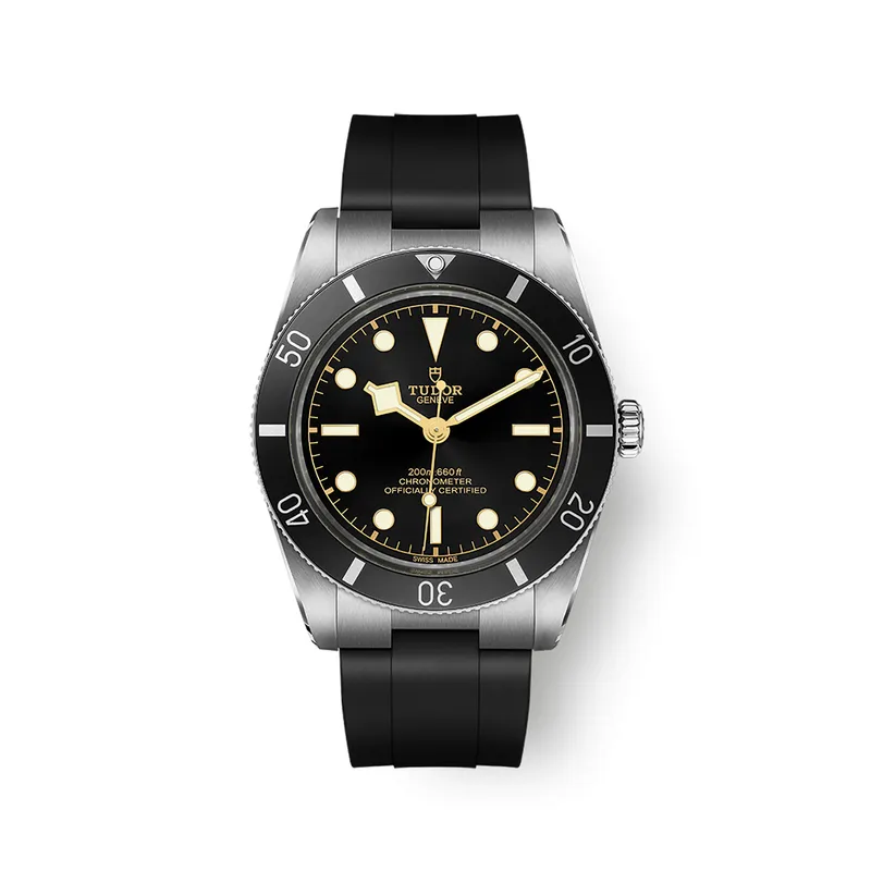 Montre Tudor Black Bay 54 - TUDOR