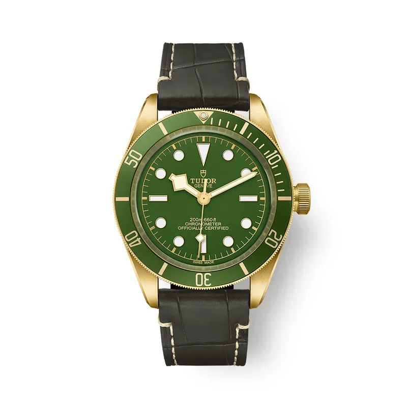 Montre Tudor Black Bay Fifty-Eight 18K - TUDOR