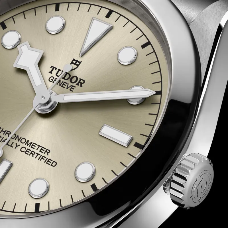 Montre Tudor Black Bay One 36 - TUDOR