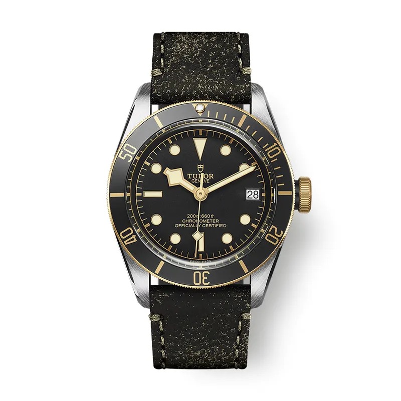 Montre Tudor Black Bay S&G - TUDOR